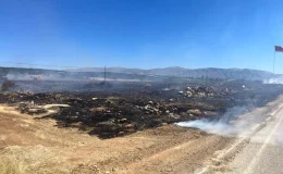 Isparta’da anız yangını ormanlık alana sıçramadan söndürüldü