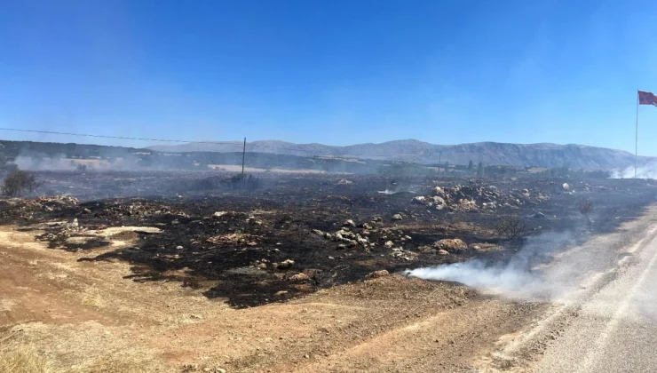 Isparta’da anız yangını ormanlık alana sıçramadan söndürüldü